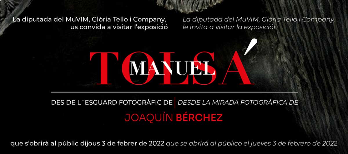 tolsa-cabecera-evento